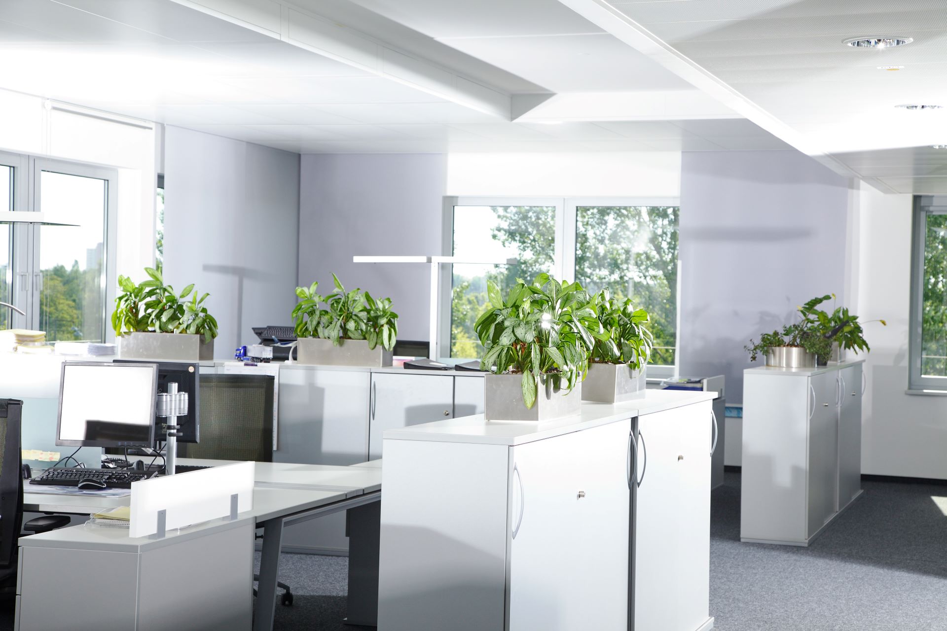 Resume Writing Services Woopen Creek QLD